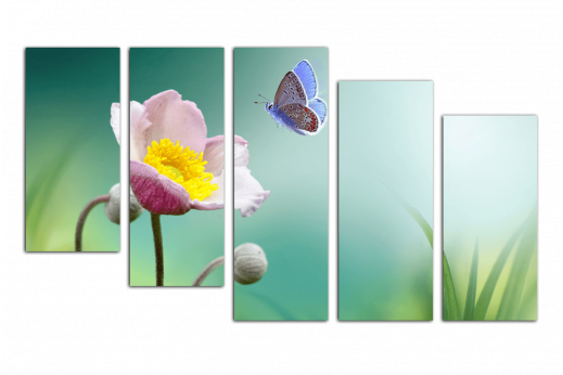 Модульная картина Бабочка и цветок