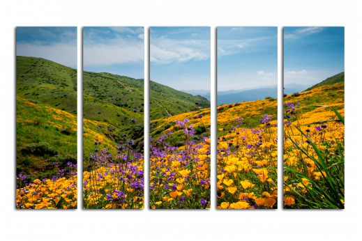 Модульная картина Цветы на склоне горы